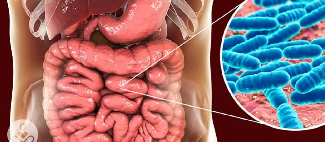 Πως βοηθούν τα βακτήρια τον οργανισμό μας;